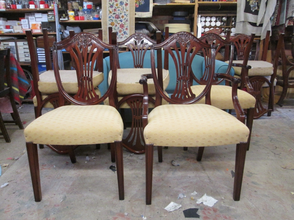 Shield-back dining chairs with newly covered seats